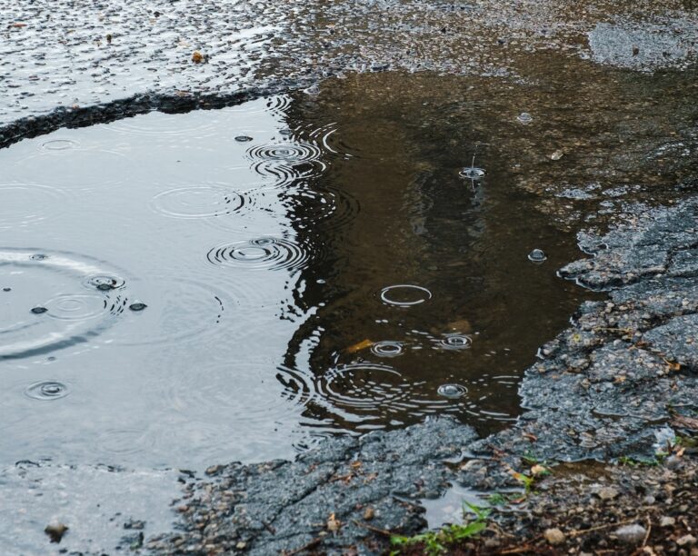 Read more about the article Ask Aimee: Can I Sue the City for Pothole Damage to My Car?